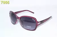 man woman coach sunglasses 2013 tendance ch-2319